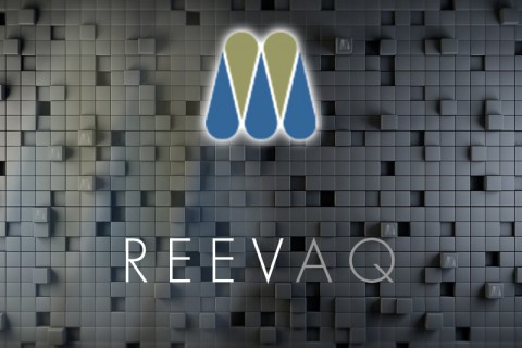 REEVAQ <small>(Review Evaluations Automated Quotation)</small>