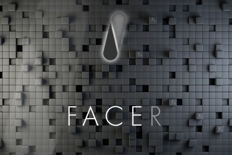 FACER <small>(Fashion City Economic Rating)</small>